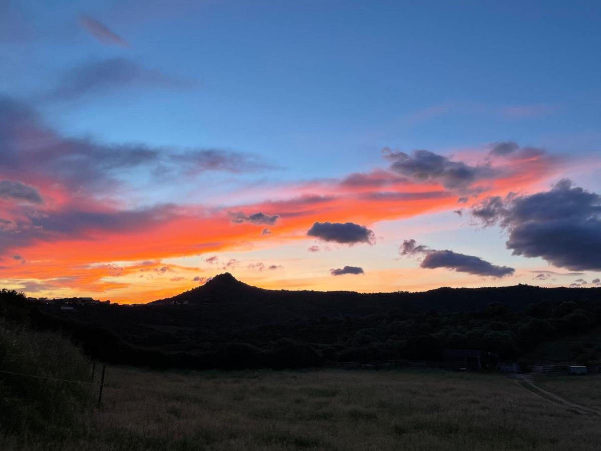 Nuit Calme Sur Domaine Διαμέρισμα Calcatoggio  Εξωτερικό φωτογραφία