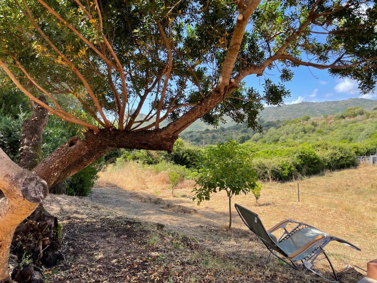 Nuit Calme Sur Domaine Διαμέρισμα Calcatoggio  Εξωτερικό φωτογραφία