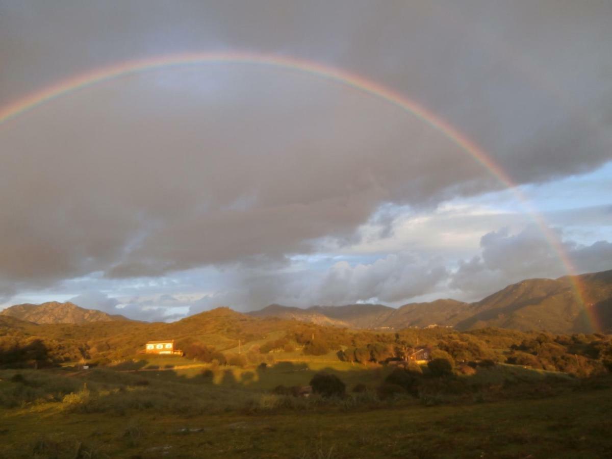 Nuit Calme Sur Domaine Διαμέρισμα Calcatoggio  Εξωτερικό φωτογραφία